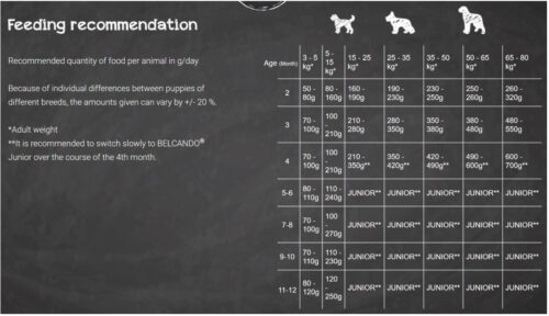 בלקנדו גורים טבלת האכלה יומית