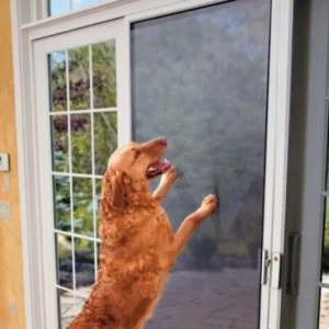 רשת נגד יתושים עמידה - כלב נשען על דלת עם הרשת