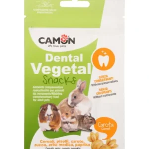 חטיף לארנב- גזר ואספספת