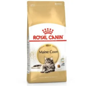 רויאל קנין מיין קון אוכל לחתול מגזע מיין קון