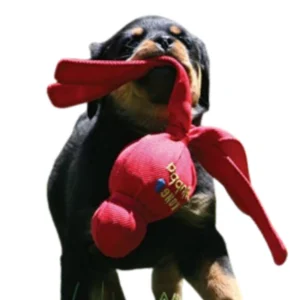 וובה מגה XL לכלב - Kong משחק לכלב