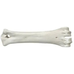 עצם סידן גדולה לכלב