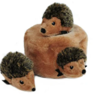 מאורת קיפודים לכלב