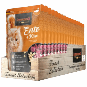 לאונרדו מחית ברווז לחתול – Leonardo