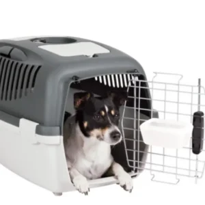 כלוב הטסה - גוליבר 3