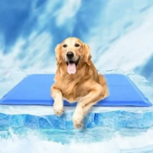 מזרן קירור לכלבים