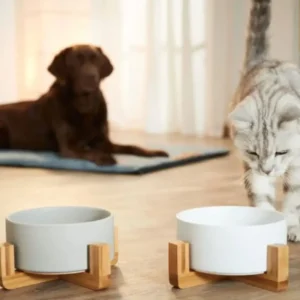 קערת מזון מעוצבת לכלבים וחתולים "שוקי"