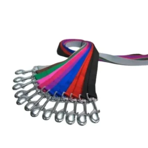 רצועת בייסיק לכלב 25 מ"מ