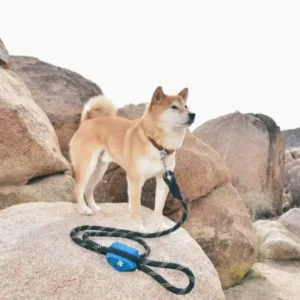כלב עם מחזיק שקיות צרכים- זיפי זופ