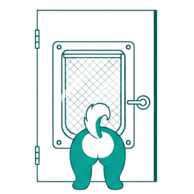 רשתות ופתרונות מעבר